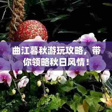 曲江暮秋游玩攻略,带你领略秋日风情!