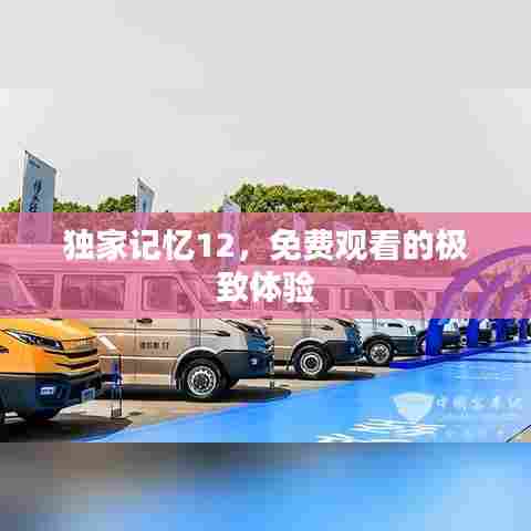 独家记忆12,免费观看的极致体验