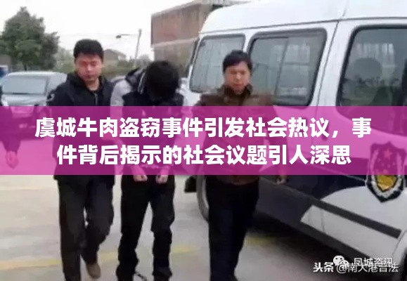 虞城牛肉盗窃事件引发社会热议，事件背后揭示的社会议题引人深思