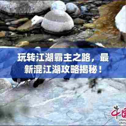 玩转江湖霸主之路,最新混江湖攻略揭秘!