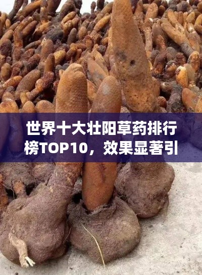 世界十大壮阳草药排行榜TOP10,效果显著引关注