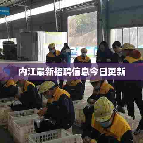 内江最新招聘信息今日更新