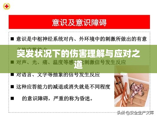突发状况下的伤害理解与应对之道