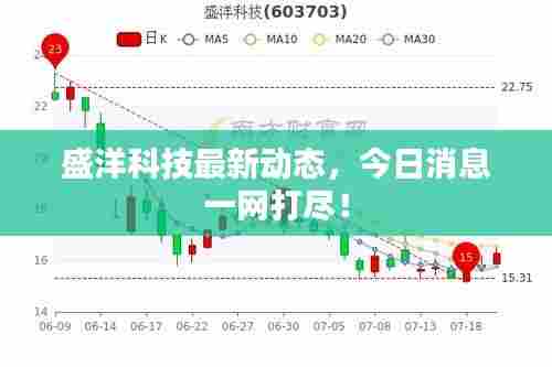 盛洋科技最新动态,今日消息一网打尽!