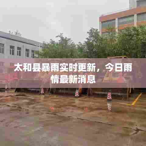 太和县暴雨实时更新,今日雨情最新消息
