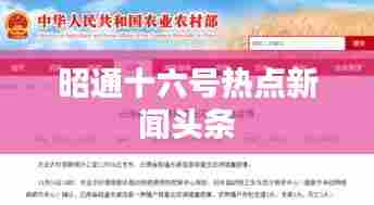 昭通十六号热点新闻头条