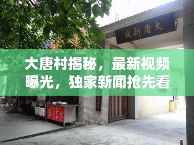 大唐村揭秘,最新视频曝光,独家新闻抢先看!