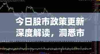 今日股市政策更新深度解读,洞悉市场风向,把握投资机会