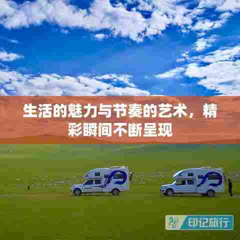 生活的魅力与节奏的艺术,精彩瞬间不断呈现