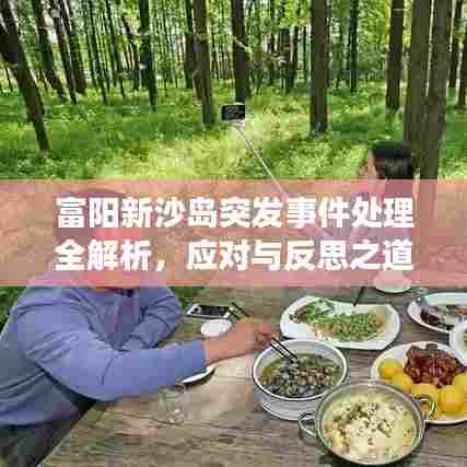 富阳新沙岛突发事件处理全解析，应对与反思之道
