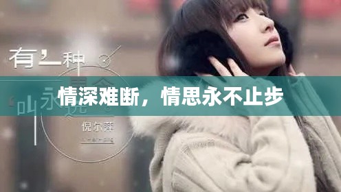 情深难断，情思永不止步