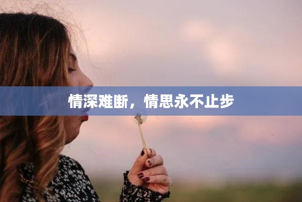 情深难断,情思永不止步