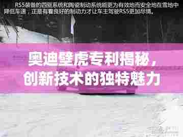 奥迪壁虎专利揭秘,创新技术的独特魅力展现
