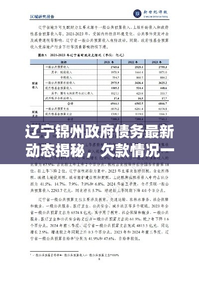 辽宁锦州政府债务最新动态揭秘，欠款情况一览