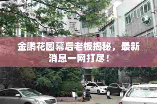 金鹏花园幕后老板揭秘，最新消息一网打尽！