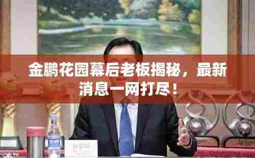 金鹏花园幕后老板揭秘,最新消息一网打尽!