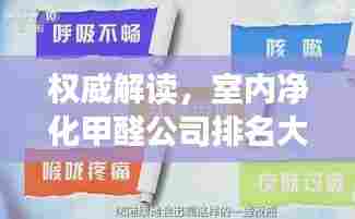权威解读,室内净化甲醛公司排名大揭秘!