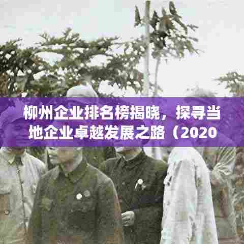 柳州企业排名榜揭晓，探寻当地企业卓越发展之路（2020年）