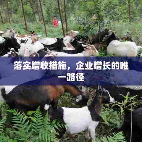 落实增收措施,企业增长的唯一路径