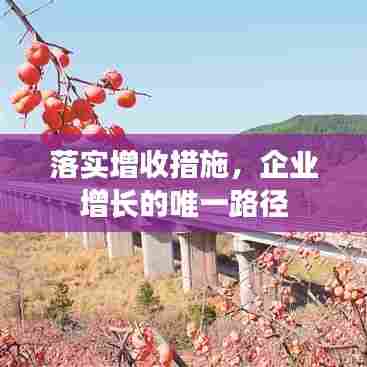 落实增收措施,企业增长的唯一路径
