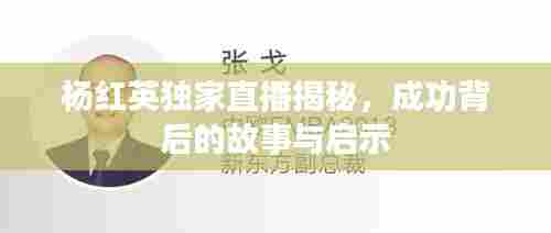 杨红英独家直播揭秘,成功背后的故事与启示