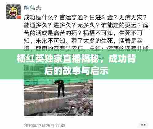 杨红英独家直播揭秘,成功背后的故事与启示