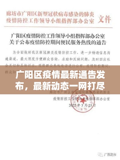 广阳区疫情最新通告发布,最新动态一网打尽!