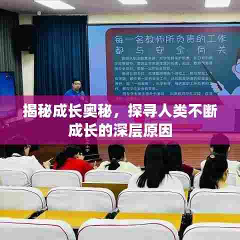揭秘成长奥秘,探寻人类不断成长的深层原因