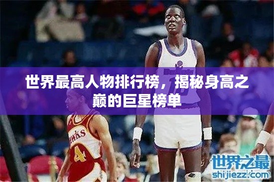 世界最高人物排行榜，揭秘身高之巅的巨星榜单
