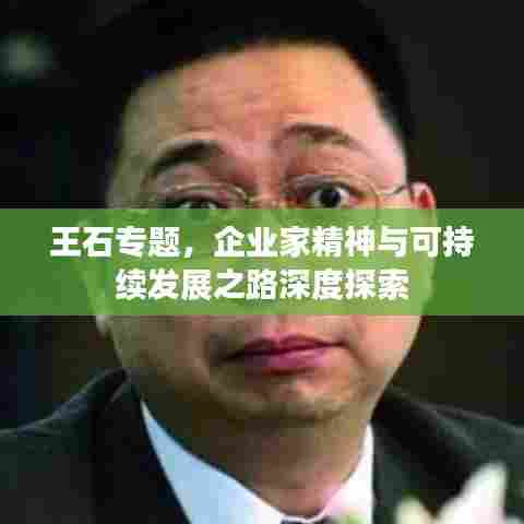 王石专题，企业家精神与可持续发展之路深度探索