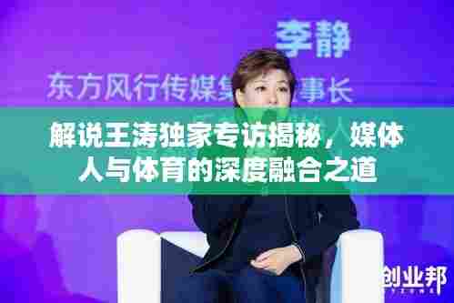 解说王涛独家专访揭秘，媒体人与体育的深度融合之道