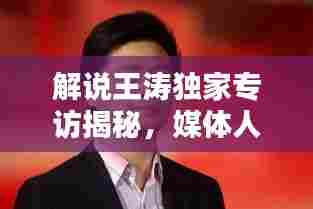 解说王涛独家专访揭秘,媒体人与体育的深度融合之道