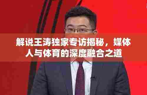 解说王涛独家专访揭秘,媒体人与体育的深度融合之道