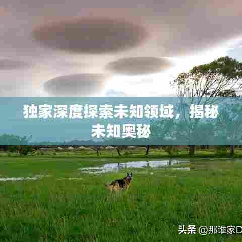 独家深度探索未知领域,揭秘未知奥秘