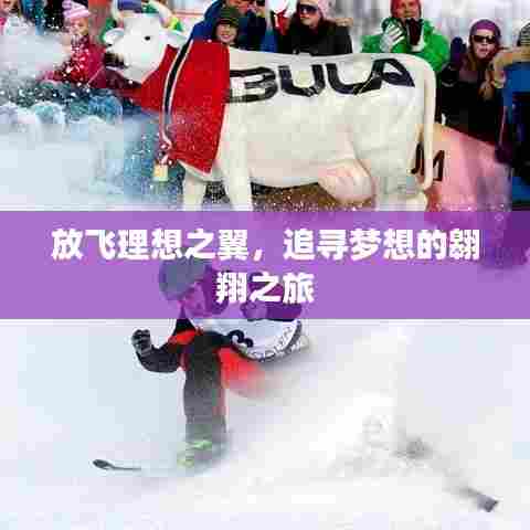 放飞理想之翼，追寻梦想的翱翔之旅