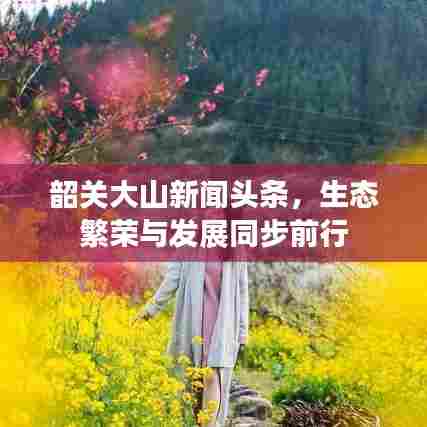 韶关大山新闻头条，生态繁荣与发展同步前行