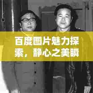 百度图片魅力探索,静心之美瞬间定格