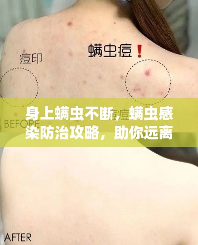 举世无双 第5页