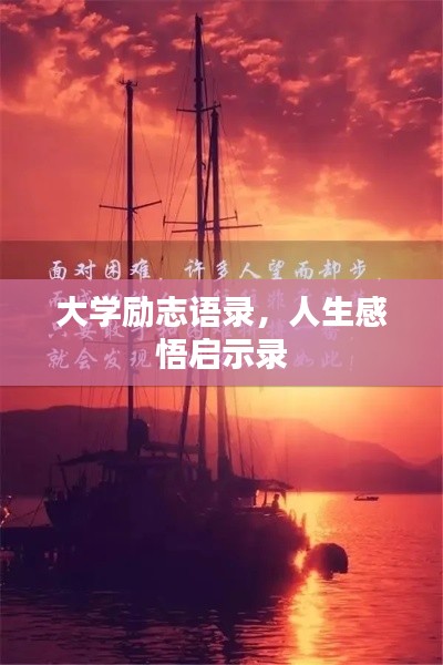 大学励志语录，人生感悟启示录