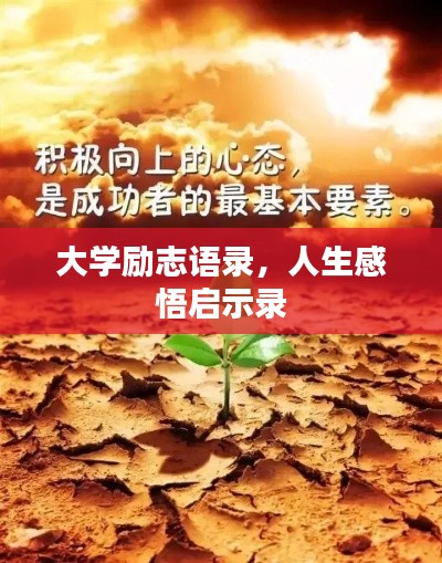 大学励志语录,人生感悟启示录