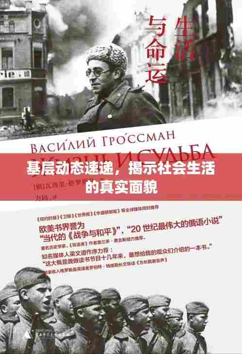 基层动态速递,揭示社会生活的真实面貌