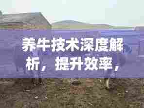养牛技术深度解析,提升效率,助力产业成长