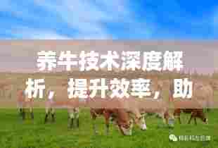 养牛技术深度解析,提升效率,助力产业成长