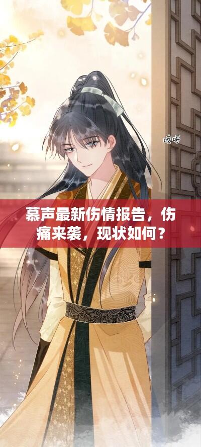慕声最新伤情报告,伤痛来袭,现状如何?