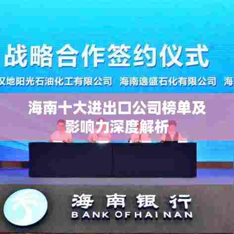 海南十大进出口公司榜单及影响力深度解析