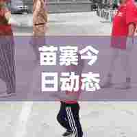 苗寨今日动态,最新消息全面解析