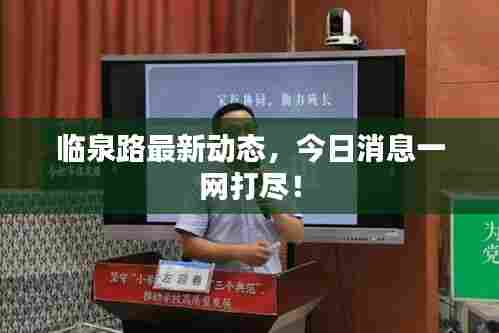 临泉路最新动态,今日消息一网打尽!