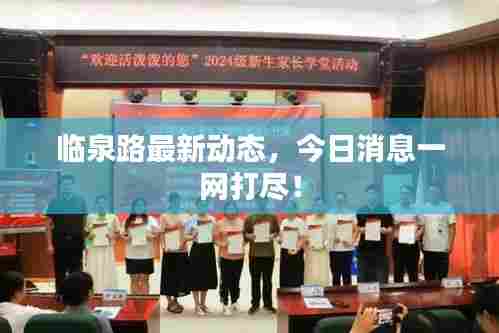 临泉路最新动态,今日消息一网打尽!