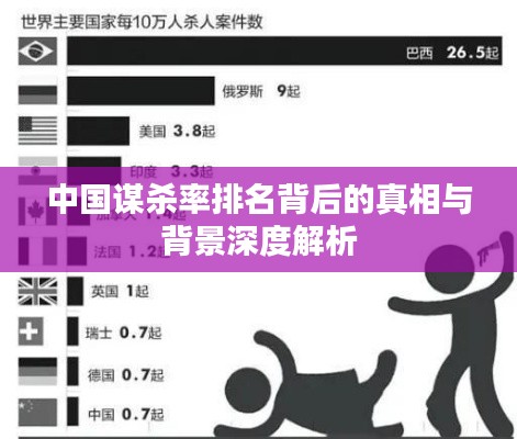 中国谋杀率排名背后的真相与背景深度解析