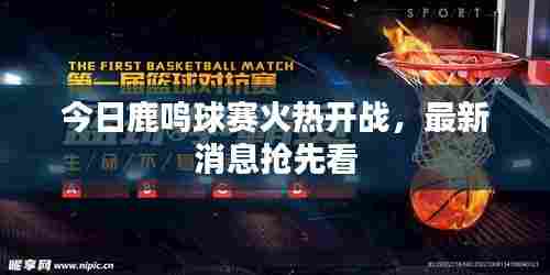 今日鹿鸣球赛火热开战，最新消息抢先看